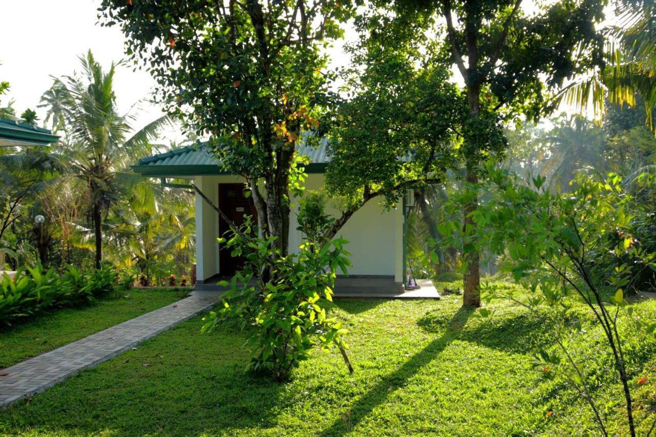 Hill View Resort Nakandalagoda ภายนอก รูปภาพ